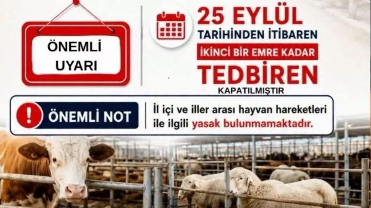 Aydın genelindeki tüm hayvan pazarları kapatıldı