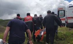 Mantar toplarken ayı saldırısına uğradı
