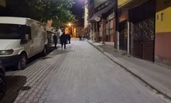 Domaniç'te peş peşe iki deprem meydana geldi