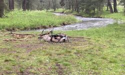 Piknik alanına yıldırım düştü: 1'i ağır 3 yaralı