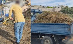Zabıta ekiplerinden 240 bin liralık cezai işlem