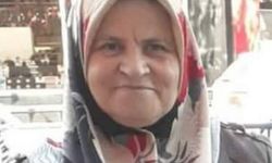 Evinin bahçesinde çıkan ot yangınının üzerine düşen kadın hayatını kaybetti