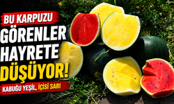 Bu karpuzu görenler hayrete düşüyor: kabuğu yeşil, içi sarı