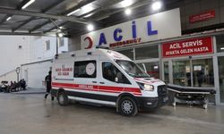 Kız alıp verme husumeti kanlı bitti: Baba ve oğlu öldürüldü