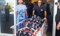 Hayvanlarını otlatırken ayı saldırısına uğradı, Kangallar imdadına yetişti