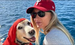 Bodrum'daki köpek davasında sanık beraat etti
