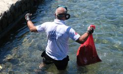 Deniz Dibi Temizliği Bodrum Gümüşlük’te devam etti