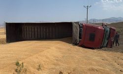 Buğday yüklü kamyon devrildi, sürücü yaralandı