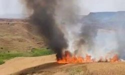 150 dönümlük buğday tarlası yangında zarar gördü