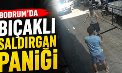 Bodrum'da bıçaklı saldırgan paniği