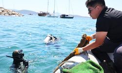 12 yıldır devam ediyor, 250 kilogram atık topladı