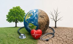Aşırı sıcaklar, salgınlar, göç riski: DSÖ’den COP31 uyarısı