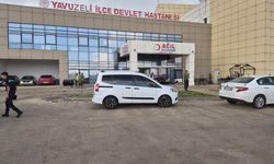 Serinlemek için su birikintisine giren 2 kardeş hayatını kaybetti