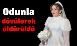 26 yaşındaki kadın odunla dövülerek öldürüldü