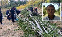 Kestiği ağacın altında kalan adam hayatını kaybetti