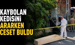 Kaybolan kedisini ararken ceset buldu