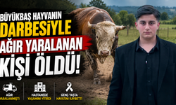 Büyükbaş hayvanın darbesiyle ağır yaralanan kişi hayatını kaybetti