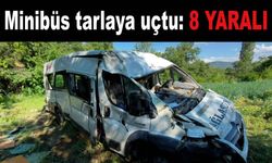 Minibüs tarlaya uçtu: 8 yaralı
