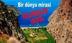 Cennetten bir parça: Kelebekler Vadisi