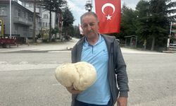 Çiftçi bahçesinde 3 kilo 470 gram mantar buldu