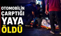 Otomobilin çarptığı yaya öldü