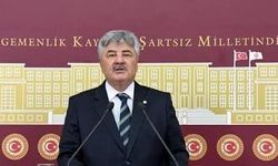 ÇED verileri tartışma yarattı: “Çevreyi koruyan sistem mi, ranta açılan kapı mı?”