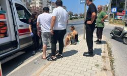 Motosiklet kazasında sürücü ve yolcu yaralandı