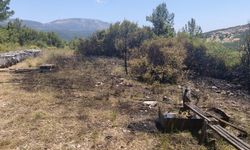 Muğla'da orman yangını ekiplerin hızlı müdahalesi ile söndürüldü