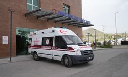 Otomobil ile kamyonet çarpıştı: 7 Yaralı