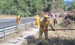 Marmaris’te orman yangınlarına karşı yol kenarlarında yoğun mesai