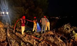 Fethiye’deki orman yangını kısa sürede söndürüldü