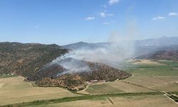 Milas ve Söke’deki yangınlara müdahale sürüyor