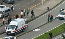 Kamyonetin çarpıp kaçtığı kadın hayatını kaybetti