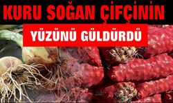 Kuru soğan çiftçinin yüzünü güldürdü