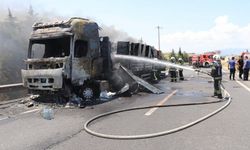Beyaz eşya yüklü tırda çıkan yangın tahıl tarlalarına sıçradı