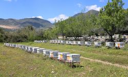 Destekleme başvuru süresi 30 Haziran'a uzatıldı