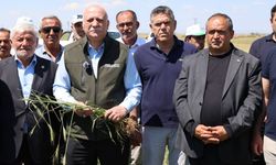 TZOB Başkanı Bayraktar: "Son 150 yılın en önemli yağışlarını aldık"