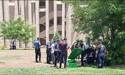 Bir genç parkta ölü bulundu