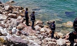 Otomobil Van Gölü'ne uçtu: Sürücü yaralı kurtarıldı