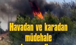 Zirai alanda başlayan yangın ormana sıçradı, söndürme çalışmaları sürüyor