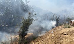 Bodrum’daki yangın büyümeden söndürüldü