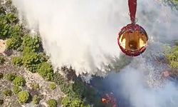 Seydikemer’de Ziraat Alanında Başlayan Yangın Ormana Sıçradı