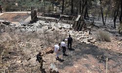 Fethiye'deki orman yangınından etkilenen alanda hasar tespit çalışması yapılıyor