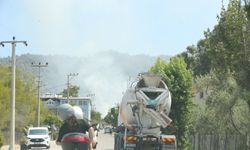 Muğla'nın Fethiye ilçesinde orman yangını çıktı
