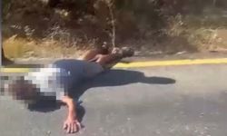 12 Yıllık sır cinayet DNA deliliyle çözüldü: Zanlı Muğla'da yakalandı