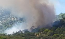 Muğla’da orman yangını