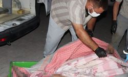 Haber alınamayan adamın annesinden 5 gün sonra öldüğü ortaya çıktı