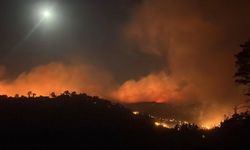 Alanya'daki orman yangınına gece saatlerinde müdahale sürüyor