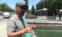 Gazeteci Ali Tatlı’nın DSİ kanalı ve körfez isyanı