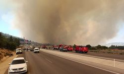 Antalya'da orman yangını